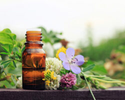 Herbal,aroma,oil,bottle,with,various,drugplant,flowers,,wooden,surface,
